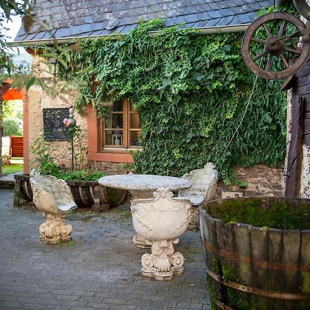 Echternacher Hof - Moselloft Kinheim Kültér fotó